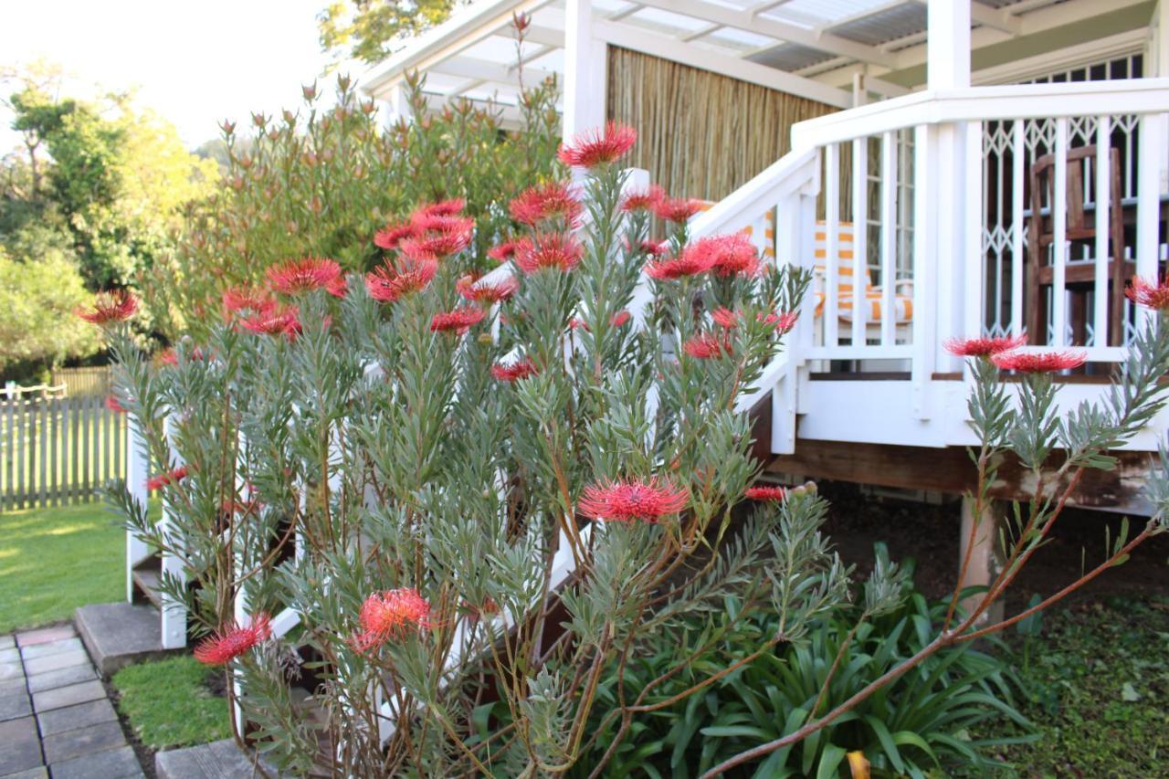 Hotel 14 Mount Joy Knysna Exterior foto